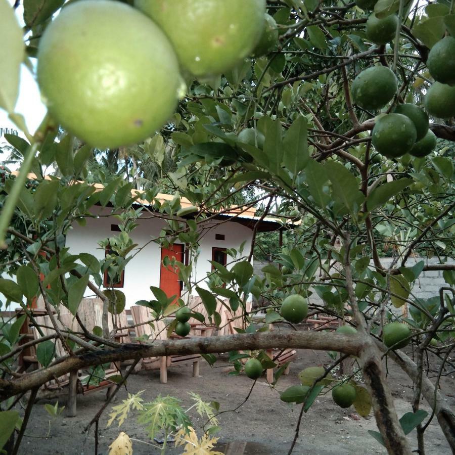 Safsia Homestay Toyapakeh Dış mekan fotoğraf